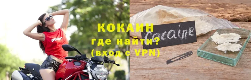 Кокаин VHQ  где купить   Пошехонье 