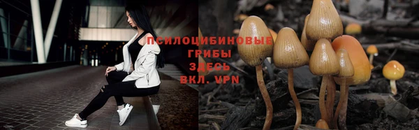 спиды Осинники