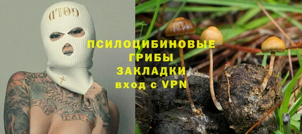 спиды Осинники